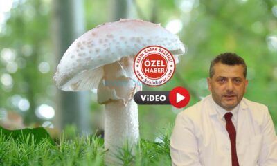 Toplumda ‘Doğru’ Bilinen ‘Yanlışlar’