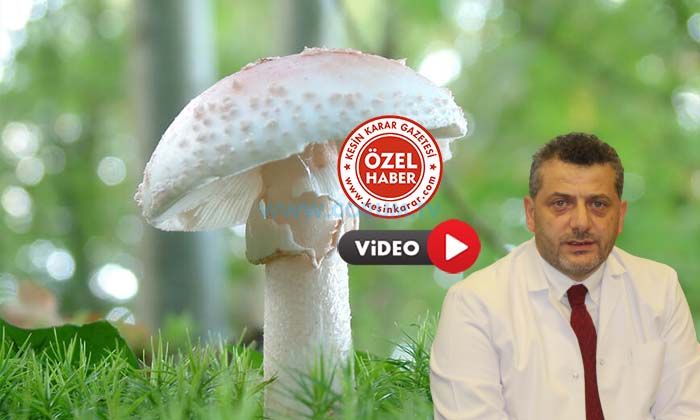 Toplumda ‘Doğru’ Bilinen ‘Yanlışlar’