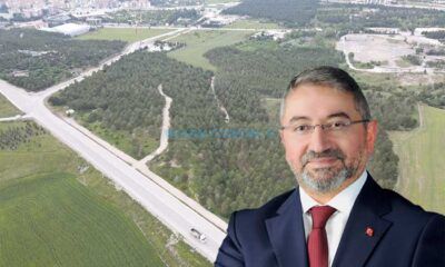 Bahabey Çamlığı, Doğasıyla Büyüleyecek