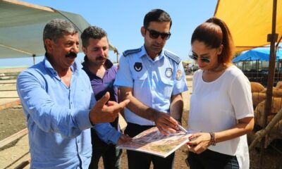 Dikkat, Cezası Var!