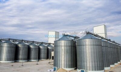 Özdemir: Lisanslı Depo Hububat Alımına Başladı