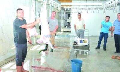 Sungurlu’da Kurban Kesim Yerleri Belirlendi