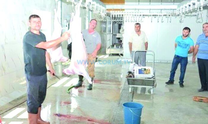 Sungurlu’da Kurban Kesim Yerleri Belirlendi