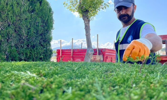 Belediye Birçok Noktada Çalışma Yapıyor