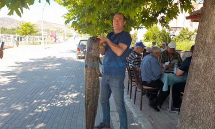 Boyu Kadar Balık Yakaladı