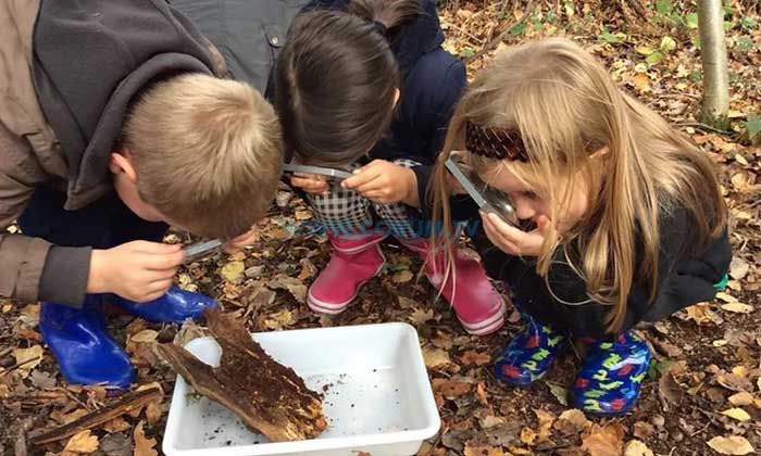 Sıklık’a ‘Orman Okulu’ Yapılacak