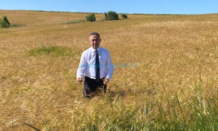 Tahtasız: TMO, Bir Ay Sonraya Randevu Veriyor