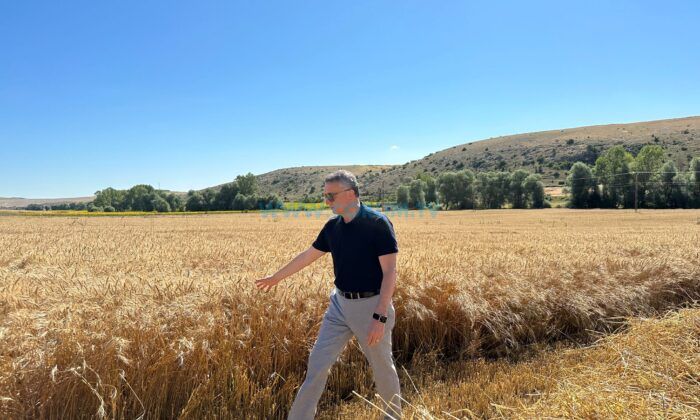 Üretilen Buğday, İhtiyaç Sahiplerine Gidecek
