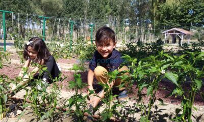 Minik Eller, Doğayla İç İçe