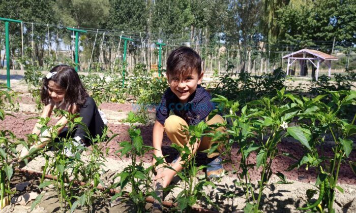 Minik Eller, Doğayla İç İçe