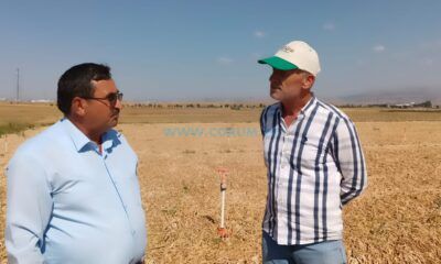 Özdemir: Soğan İhracatının Acilen Açılmasını Bekliyoruz