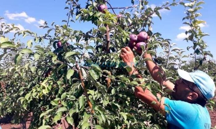 ‘Milletimizin Malını, Milletimize Veriyoruz’