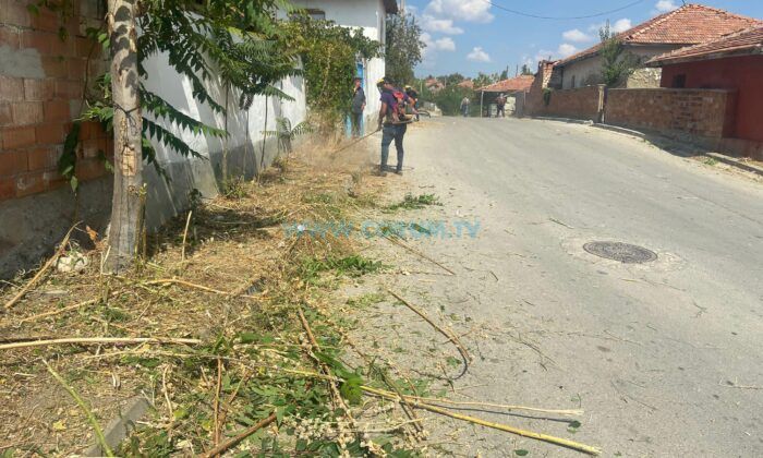 Sungurlu’da Ot Biçme Çalışmaları