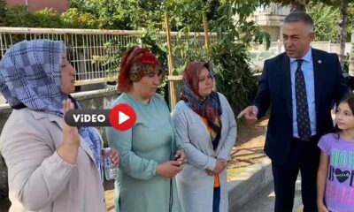 Veliler Servis Ücretlerinden ve Sokak Hayvanlarından Şikayetçi