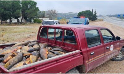 Çorum’da Yasaklara Uymayan Amatör Balıkçılardan Bir Ton Balık Çıktı