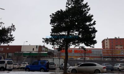 Sayıştay Raporunu Gösterdi, TCDD’ye Yüklendi