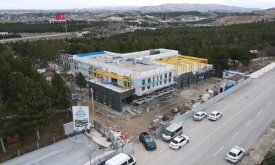 Sokak Hayvanları Problem Olmaktan Çıkacak