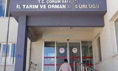 Çiftçi Destekleri Askıya Çıkarıldı