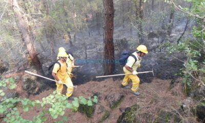 Orman İşletme’nin 2023 Faaliyetleri