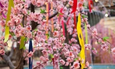 “Doğaya Karşı Sorumluluklarımızı Hatırlamalıyız”