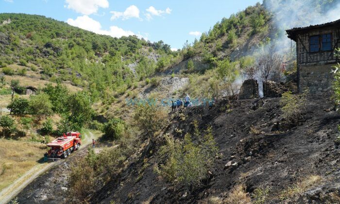 Korkutan Orman Yangını Büyümeden Söndürüldü