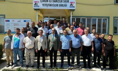 Ahlatcı: Çorum, Süt Havzasına Alındı