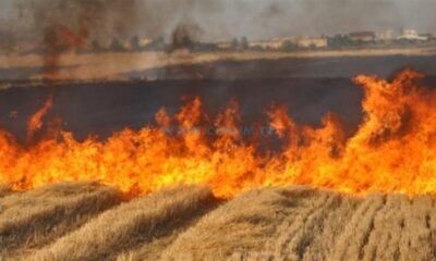 Göktekin: Anız Yakmayın, Geleceğinizi Karartmayın