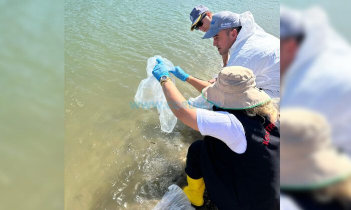 Baraj ve Göletlerdeki Biyolojik Çeşitlik Korunuyor