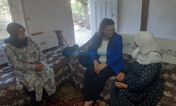 Bayat’ta Ulu Çınarlar Yalnız Bırakılmıyor