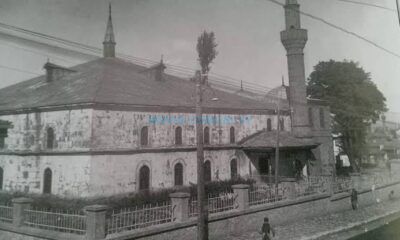 Belediye, Ulu Cami Etrafında Kesilen Ağaçlarla İlgili Açıklama Yaptı