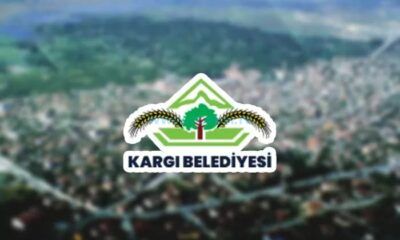 Kargı, Sahipsiz Köpek Sorununa Çözüm Arıyor