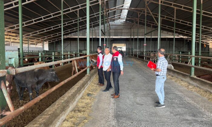 Kırmızı Et Üretimi Artıyor, Denetimler Sıkılaştırılıyor