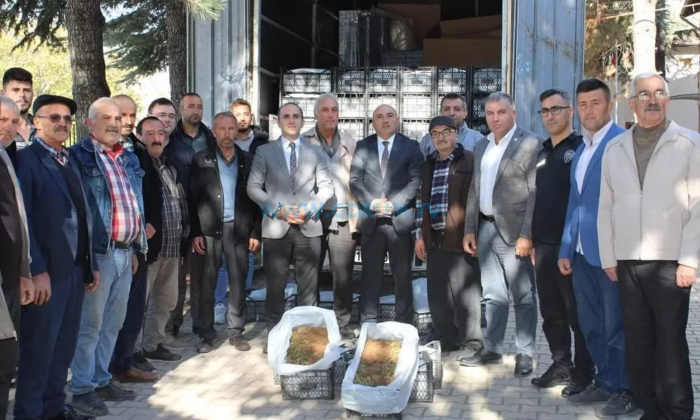 Çiftçilere Yüzde 75 Hibeli Fide Desteği