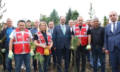 Kenevir Hasadı Şenlikle Yapıldı