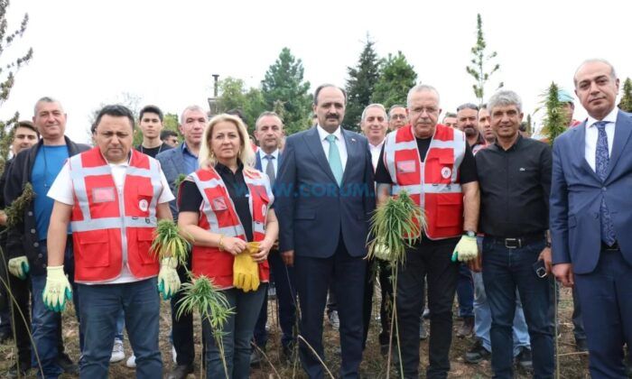 Kenevir Hasadı Şenlikle Yapıldı