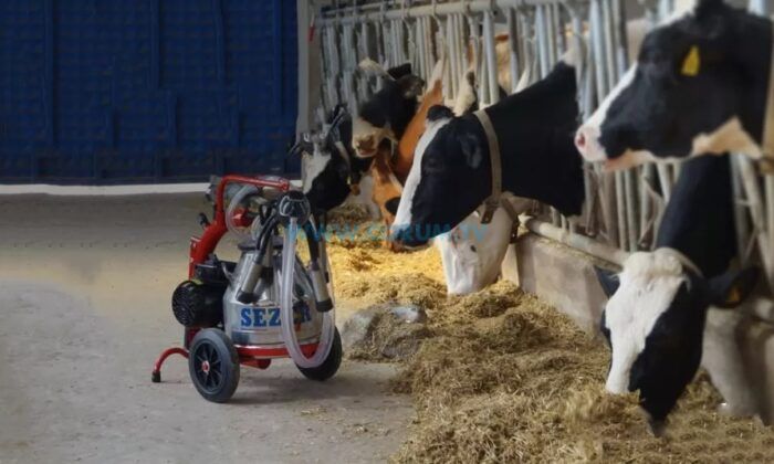Üreticiler Dikkat, Hibeyle Sağım Makinesi Dağıtılacak!