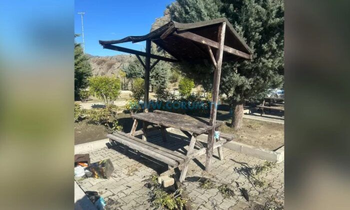 Magandalar İş Başında