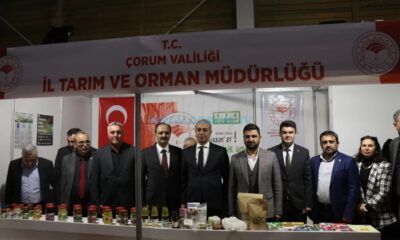 Ceviz Üreticileri Çorum’da Buluşuyor