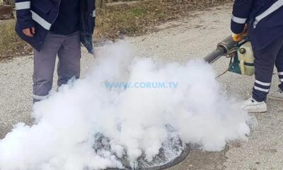 Osmancık Belediyesi, Haşereyle Mücadeleye Erken Başladı