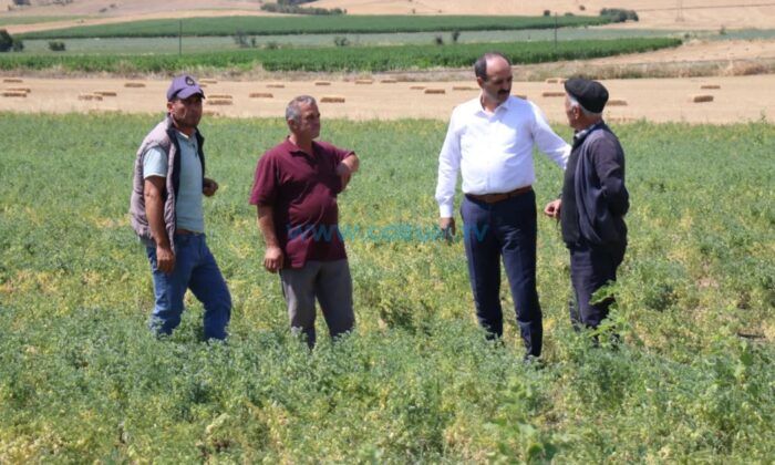 Afetlerden Etkilenen Çiftçilere Destek