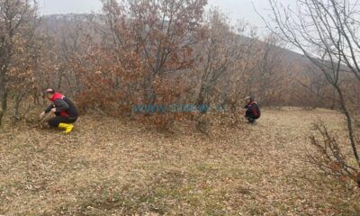 Hububat Zararlılarına Karşı Sürvey Çalışmaları