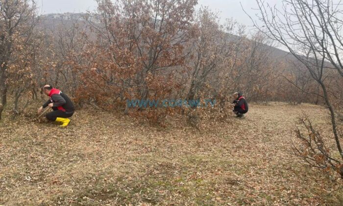 Hububat Zararlılarına Karşı Sürvey Çalışmaları