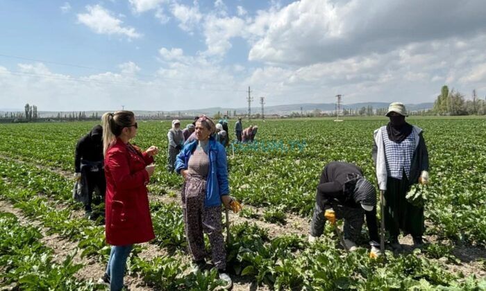Zirai İlaç Denetimleri Sıklaştırıldı