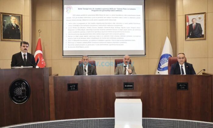 Sokak Hayvanları İçin Doğal Yaşam Alanları Yapılacak