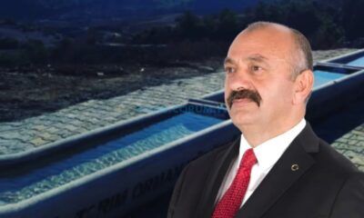 Ortaköy’de Sokak Hayvanlarına Özel Çeşme