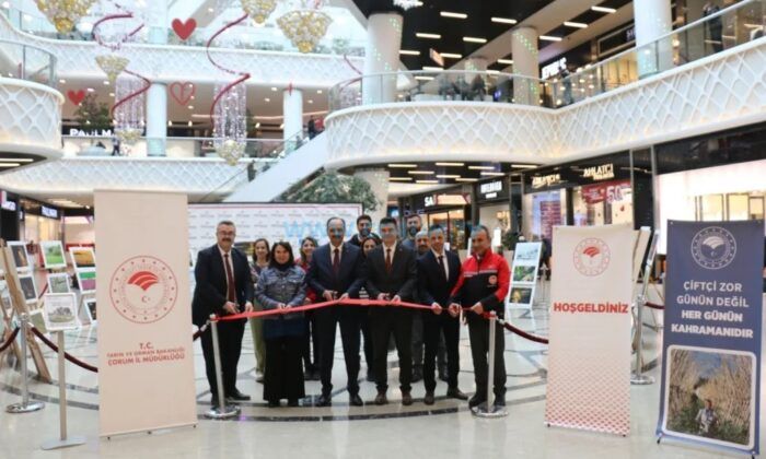 Tarım, Orman ve İnsan Sergisi Açıldı