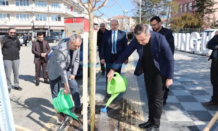 Sungurlu Yeşilleniyor