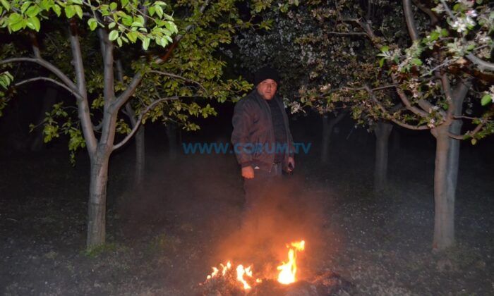 Çorum’da Çiftçiler Dona Karşı Çözümü Böyle Buldu