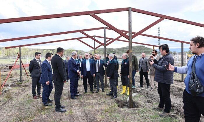 Karaloğlu: Çorum, Sokak Hayvanları Konusunda Şanslı