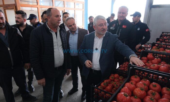 Meyve ve Sebze Halinde Denetim